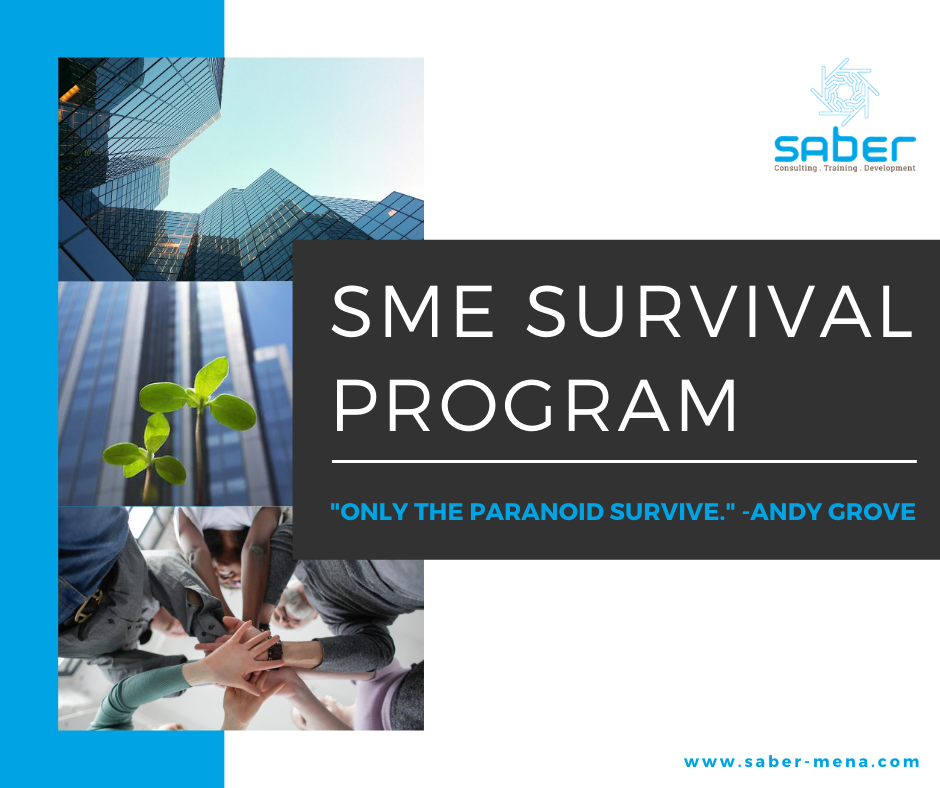 SME Survival Program